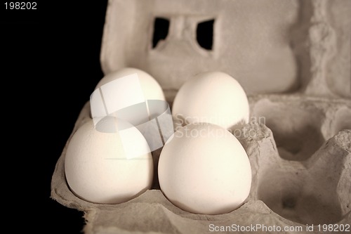 Image of Eggs