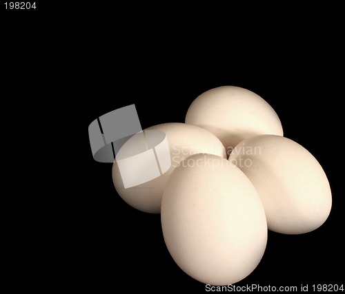 Image of Eggs