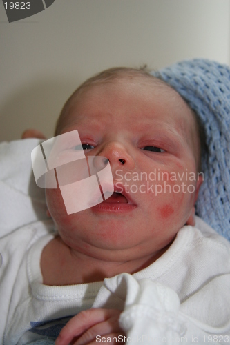 Image of Baby boy, 1 day old