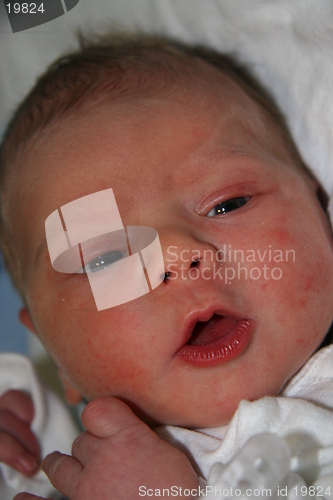 Image of Baby boy, 1 day old