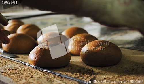 Image of bread factory production