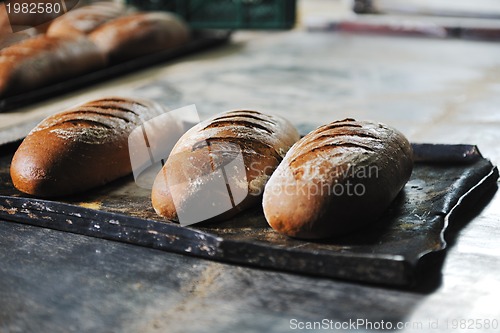 Image of bread factory production