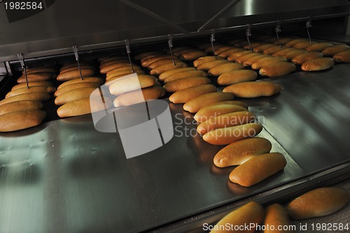 Image of bread factory production