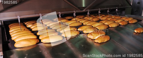 Image of bread factory production