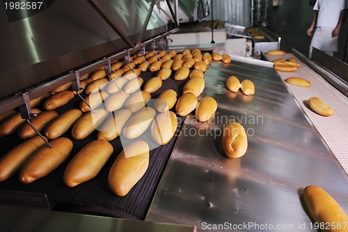 Image of bread factory production