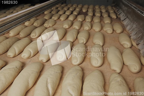 Image of bread factory production