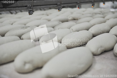 Image of bread factory production