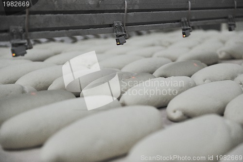 Image of bread factory production