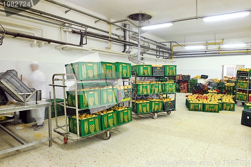 Image of bread factory production