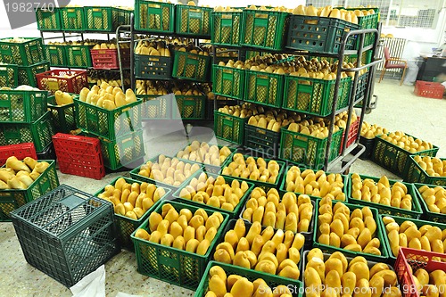 Image of bread factory production