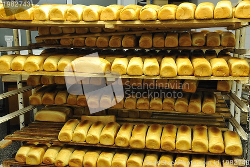 Image of bread factory production