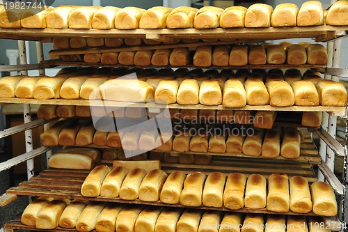 Image of bread factory production