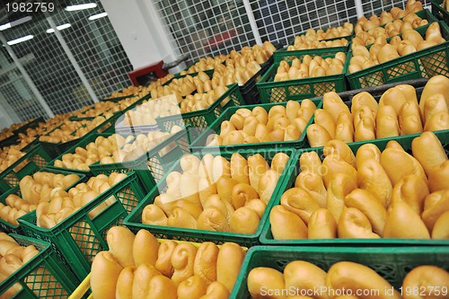 Image of bread factory production