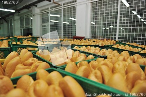 Image of bread factory production