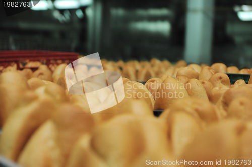 Image of bread factory production