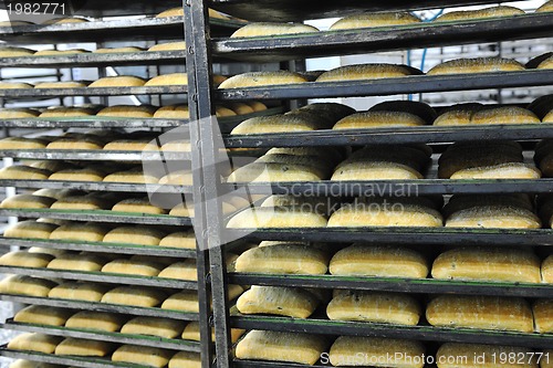 Image of bread factory production