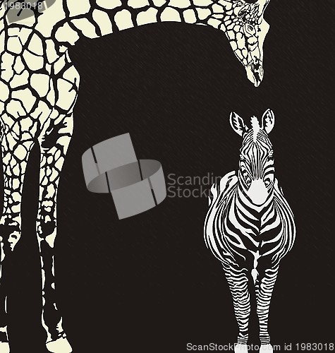 Image of Inverse animal camouflage