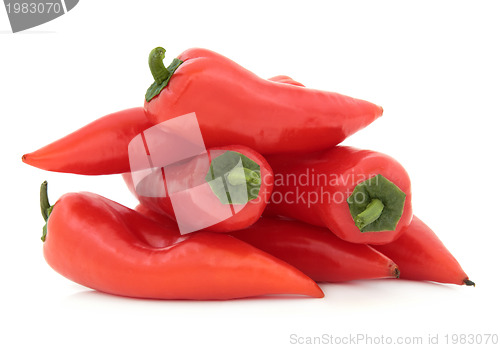 Image of Chili Peppers