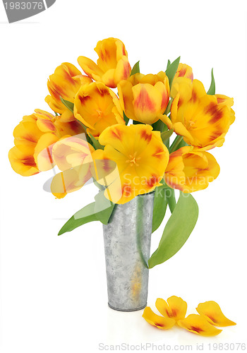 Image of Springtime Beauty