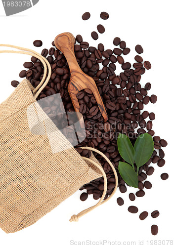 Image of Coffee Beans