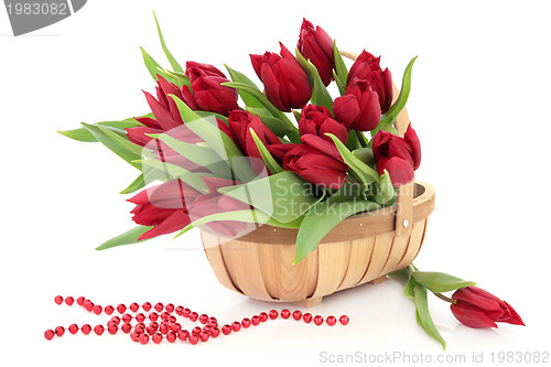 Image of Red Tulip Flowers