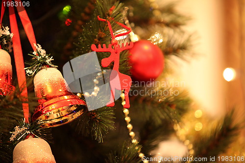 Image of Christmas tree 
