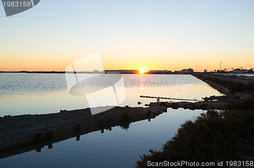 Image of Salt  farm