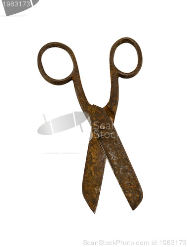 Image of rusty old retro scissors isolated on white 