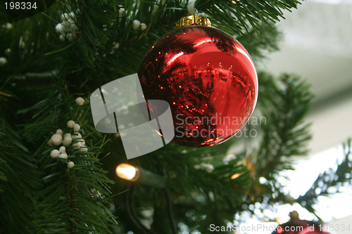 Image of Red Christmas tree glass ball on green leafs