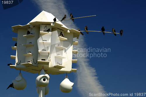 Image of Purple Martin Bird House