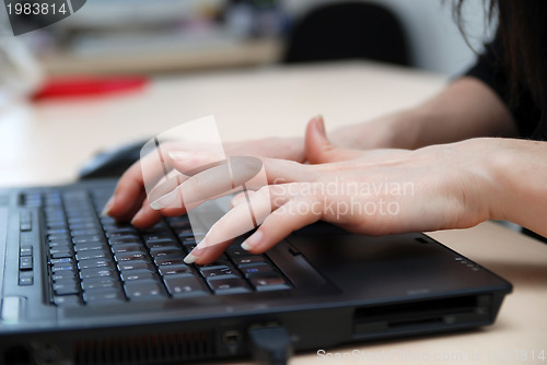 Image of woman hands typing on laptop keyboard