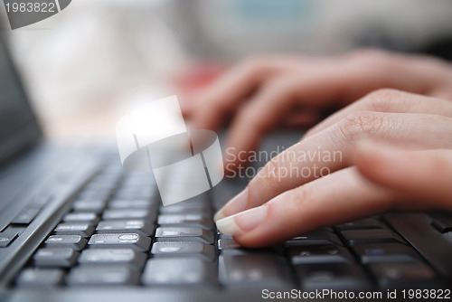 Image of woman hands typing on laptop keyboard