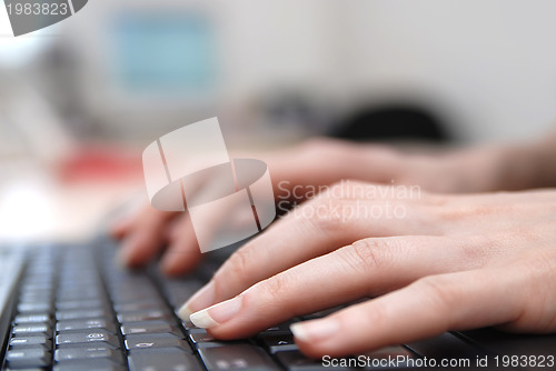 Image of woman hands typing on laptop keyboard