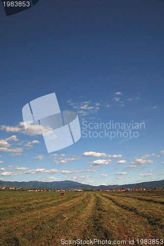 Image of sunny day and dramatic sky...