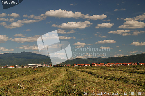 Image of sunny day and dramatic sky...