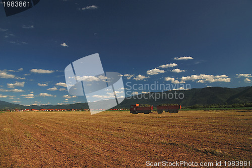 Image of truck on field