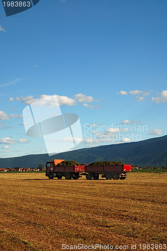 Image of truck on field