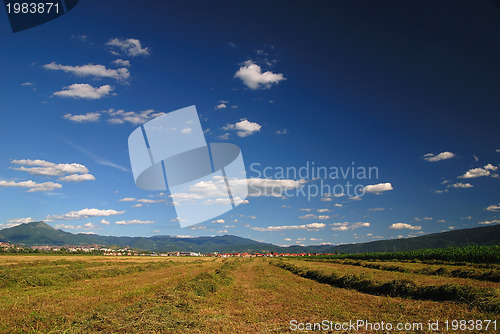 Image of sunny day and dramatic sky...