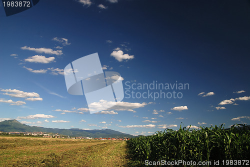 Image of sunny day and dramatic sky...