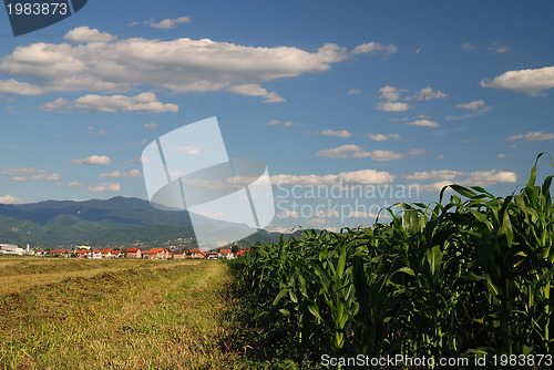 Image of sunny day and dramatic sky...