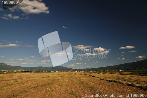 Image of sunny day and dramatic sky...