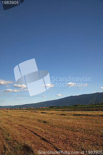 Image of sunny day and dramatic sky...