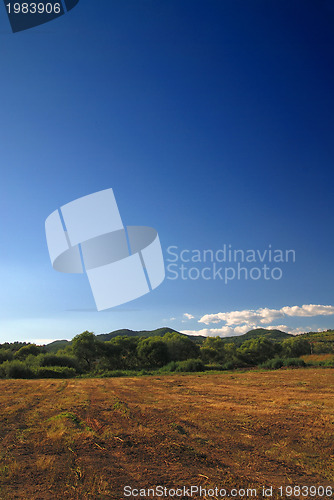 Image of sunny day and dramatic sky...