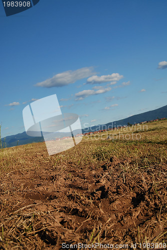 Image of tractor trail on graund