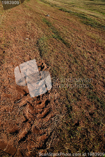 Image of tractor trail on ground