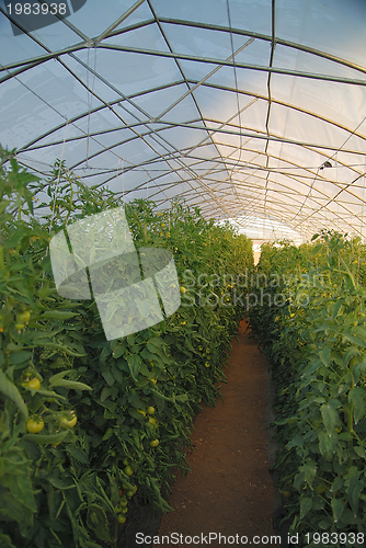 Image of greenhouse