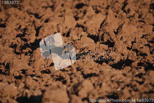 Image of agricultural background