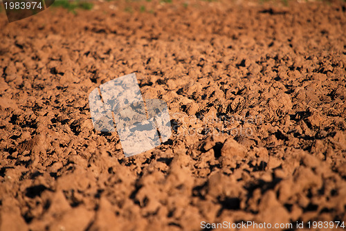 Image of agricultural background