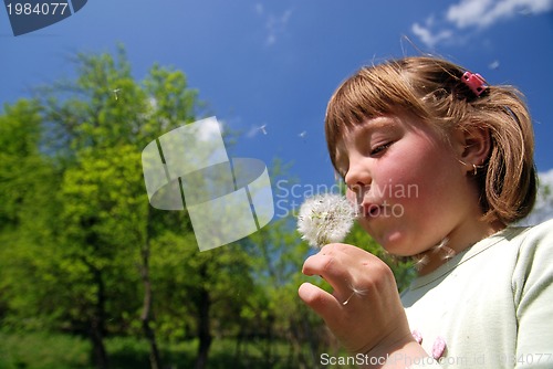 Image of cute girl blowing dundelion