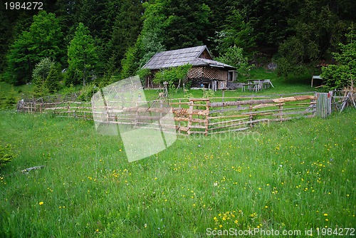 Image of lonely wooden house in forest